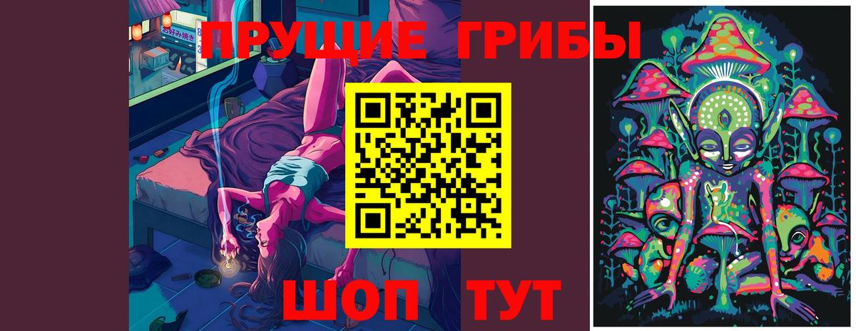 Вязники  Галлюциногенные грибы Psilocybe  купить наркоту  Вход с VPN 